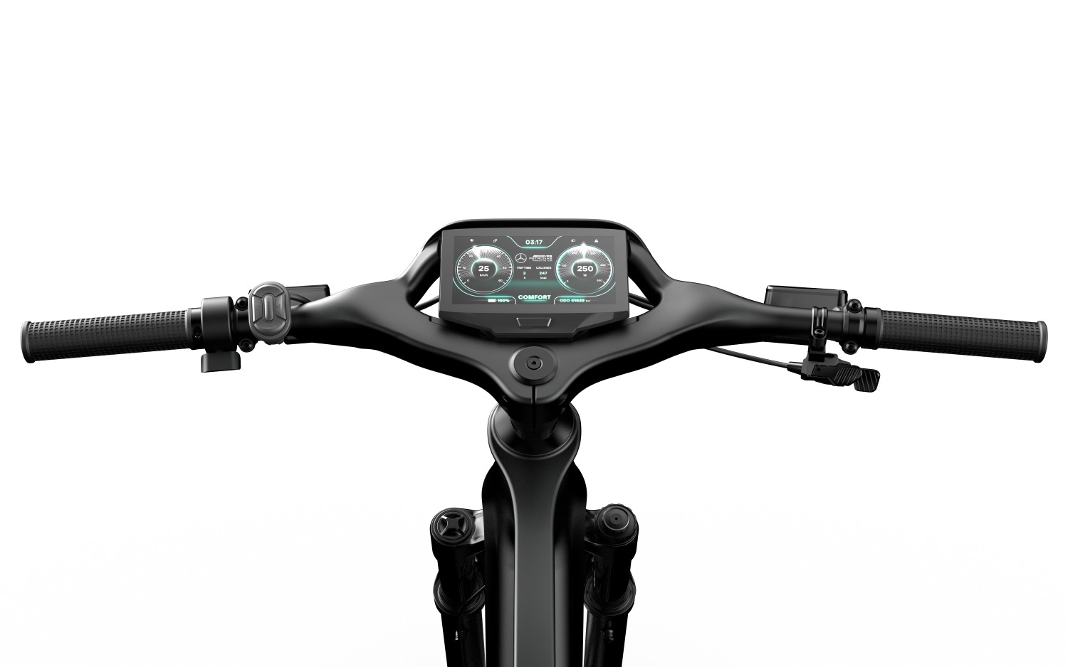 Mercedes-AMG F1® Team Rallye Edition 250 Electric Bike