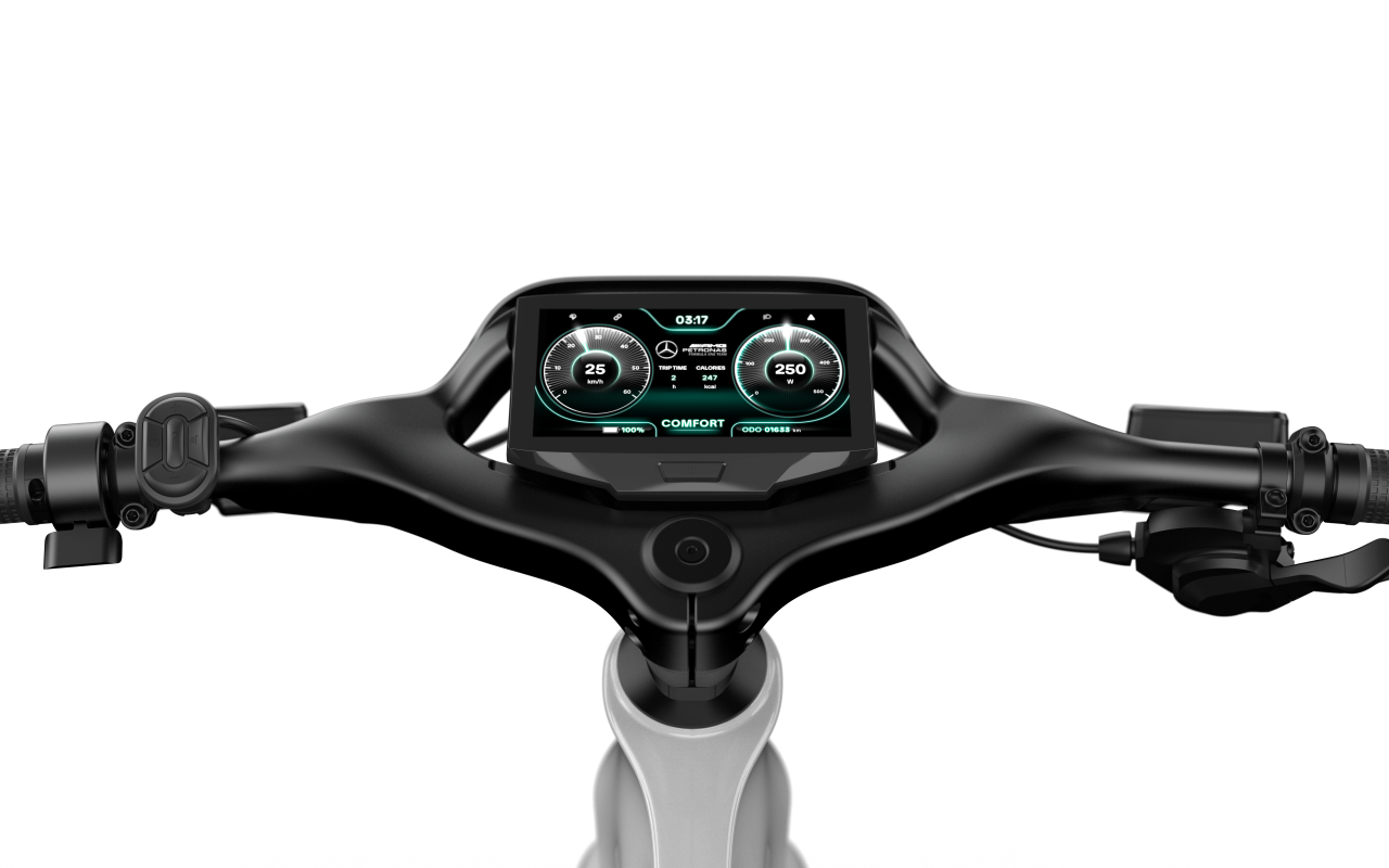 Mercedes-AMG PETRONAS F1® Team City Edition 250 Electric Bike