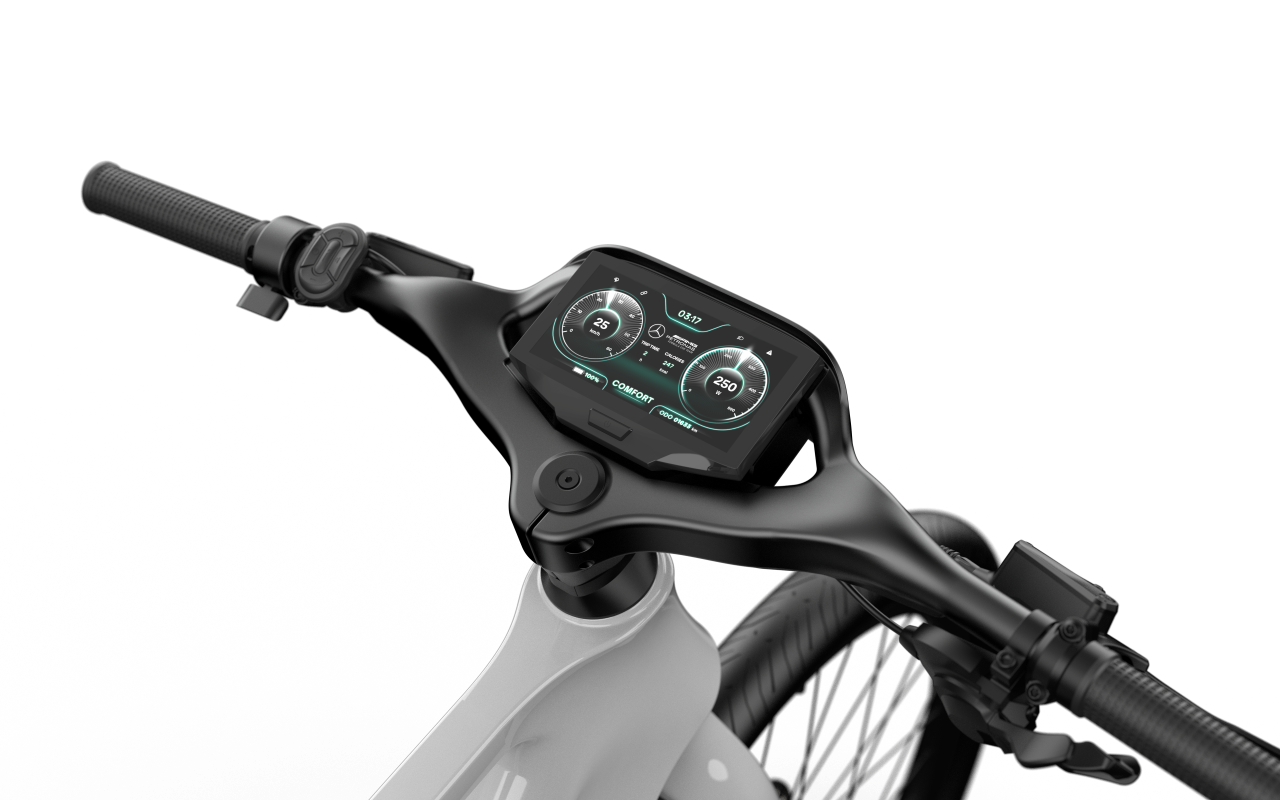 Mercedes-AMG PETRONAS F1® Team City Edition 250 Electric Bike