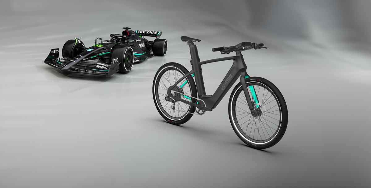 Battery Care and Safety for your Mercedes-AMG F1 Team e-bike