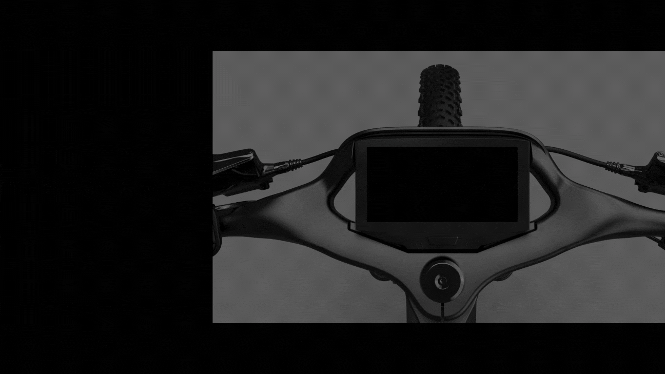 n-fahrr-der-mercedes-amg-petronas-f1-team-elektrofahrr-der